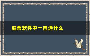 “股票软件中一自选什么意思